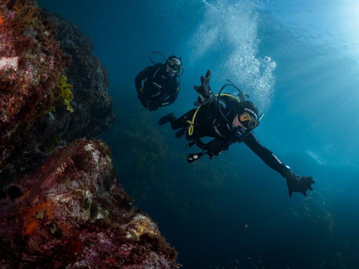 A pair of divers guiding each other in the ocean.