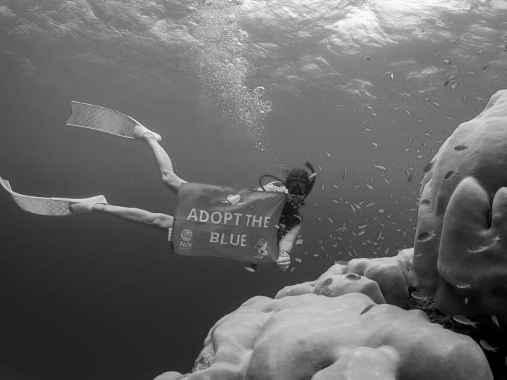 A diver holding up a PADI AWARE sign in the ocean.