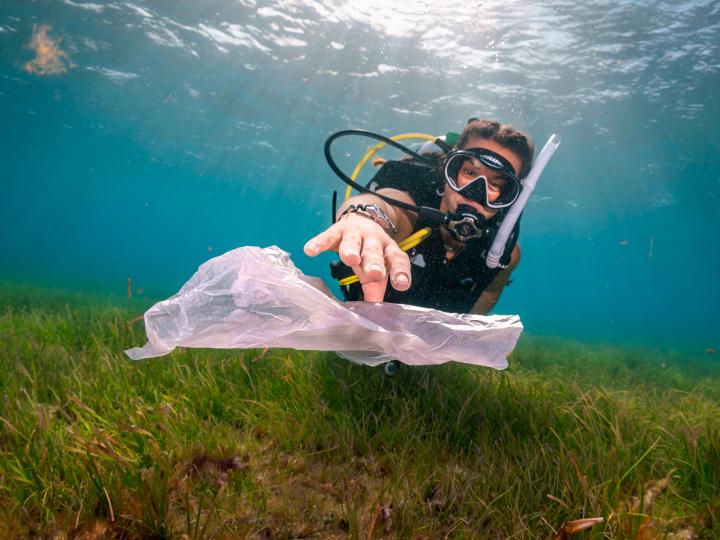 A diver picking up trash in the ocean.