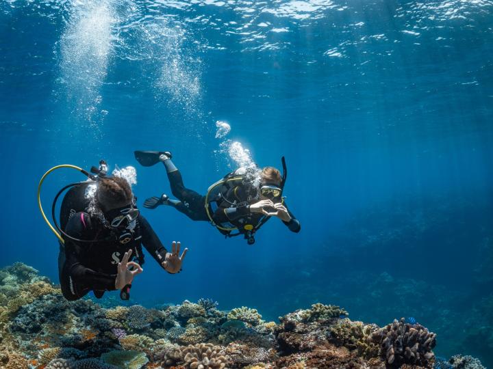 Two divers undergoing training in the water.