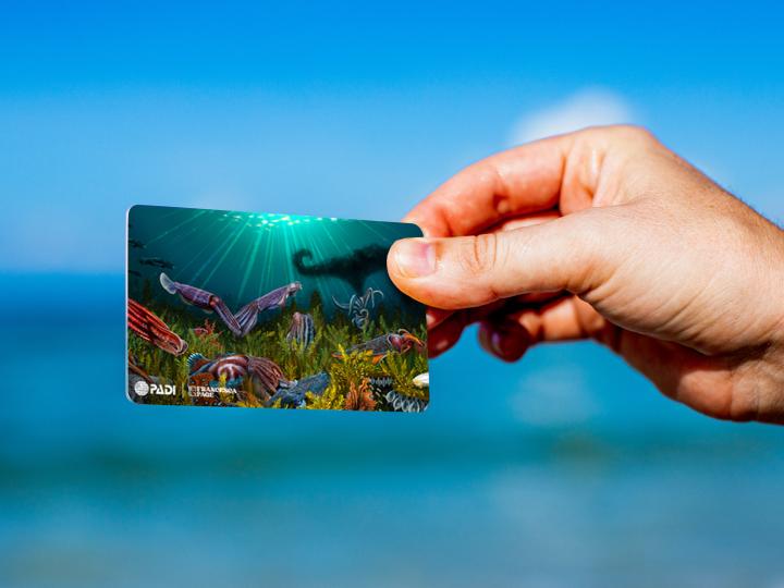 A hand holding an underwater-themed card in front of a blurred ocean background.