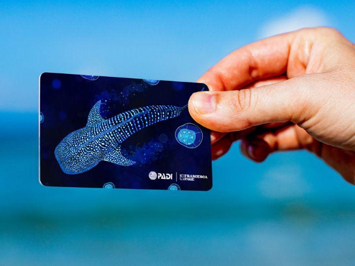 Physical certification card of an illustrated whale shark