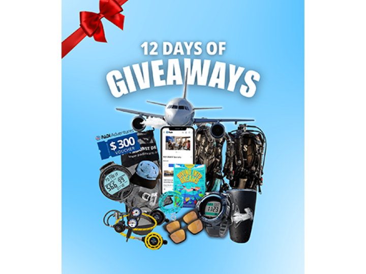 12 days of giveaways