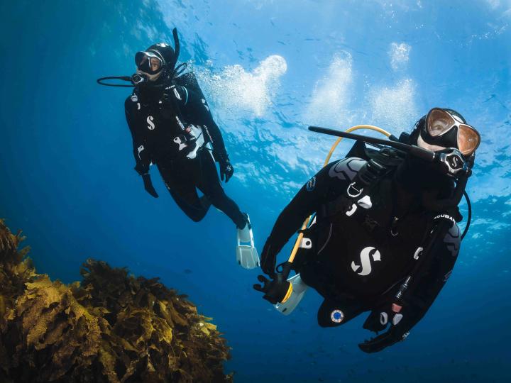 Two divers swimming in the ocean.