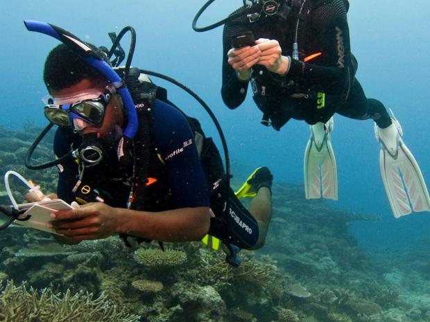 Scuba Diving Accessories