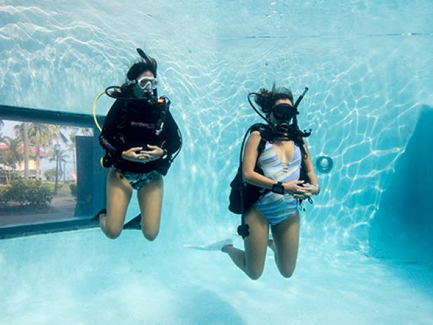 PADI Course: Open Water Diver