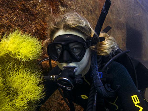 PADI Diving - Image Assets