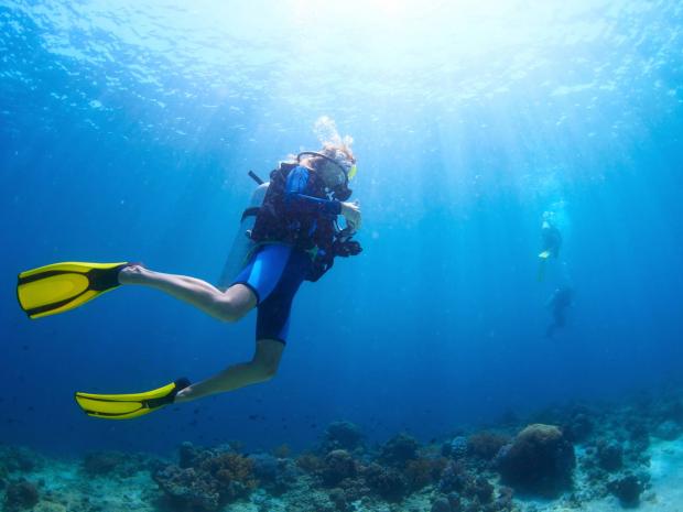 Scuba Diver - Open Water