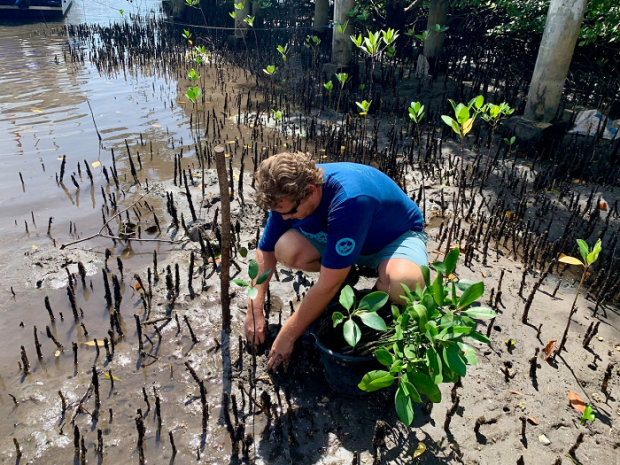 David Torchbearer Card