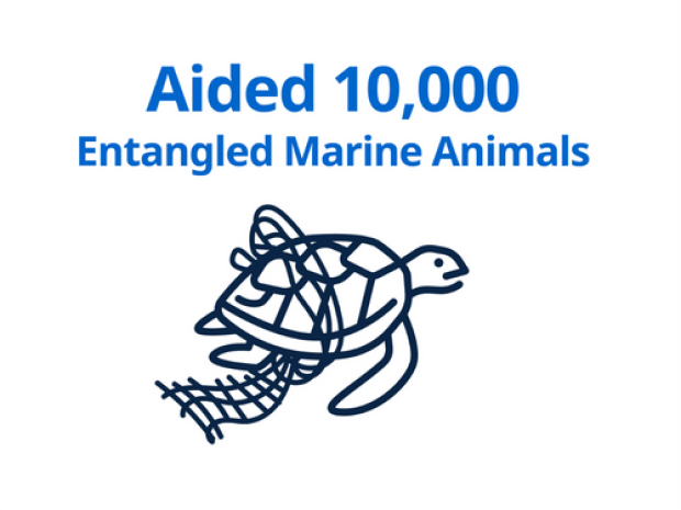 Entangled Marine Animals