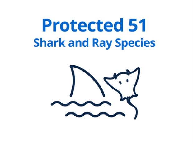 Protect Shark and Ray Species