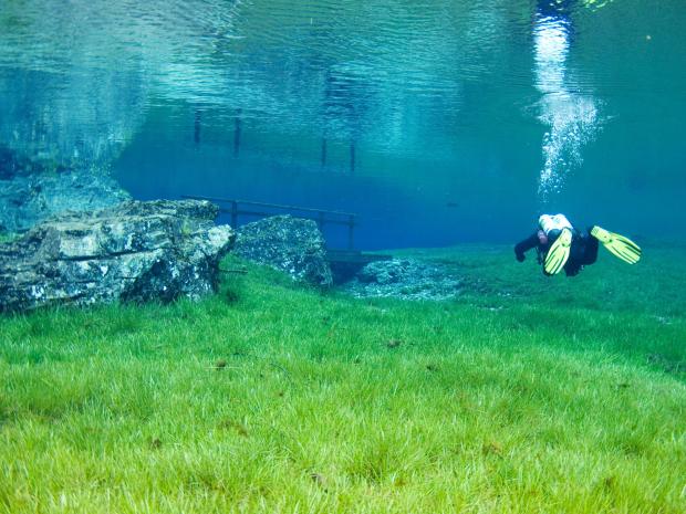 German LIVE UNFILTERED - Carousel Image 3