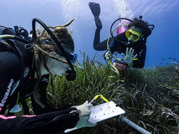Two divers taking notes while underwater.