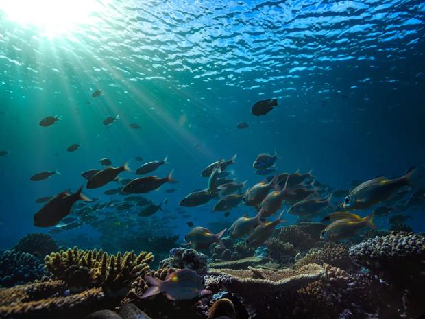 Landscape of the ocean floor