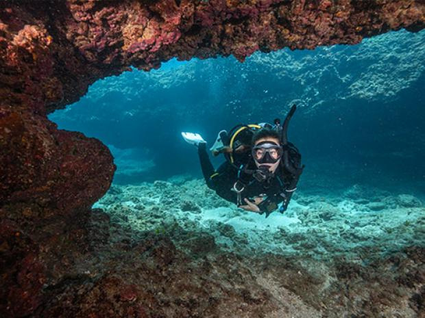 scuba diver diving in Maui