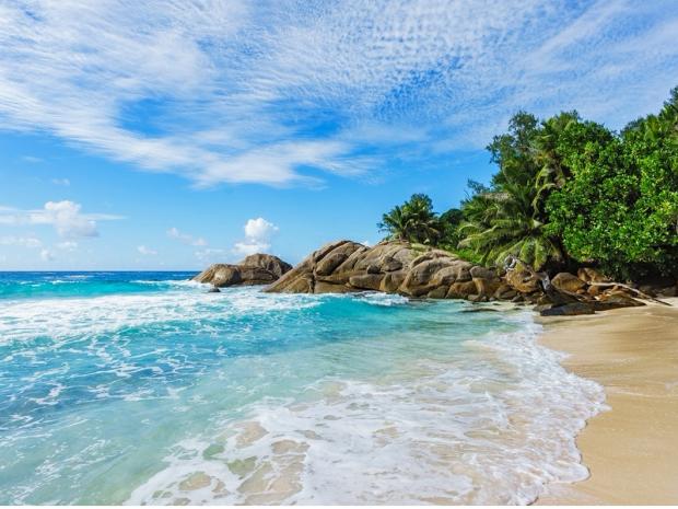 Picture of a beach shore.