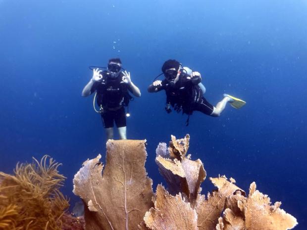 Divers swimming behind a large coral head, Dominican Republic