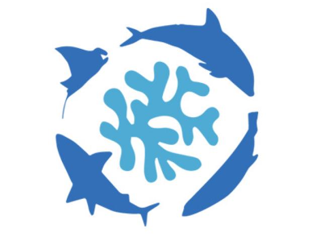 multiply MPA graphic