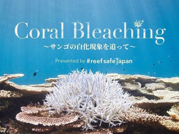 coral bleaching documentary