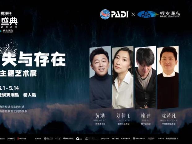 消失与存在海报