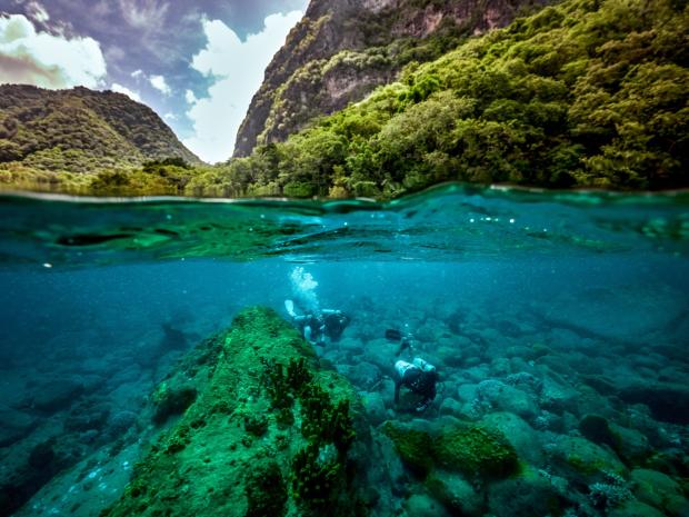 Landscape of above and underwater.