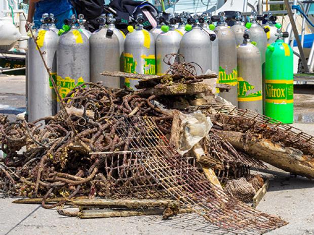 marine debris collected on land