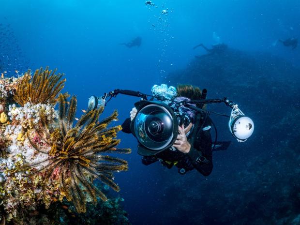 Diver photographing marine life underwater 