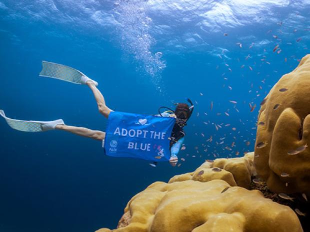 Person waving an Adopt the Blue flag.