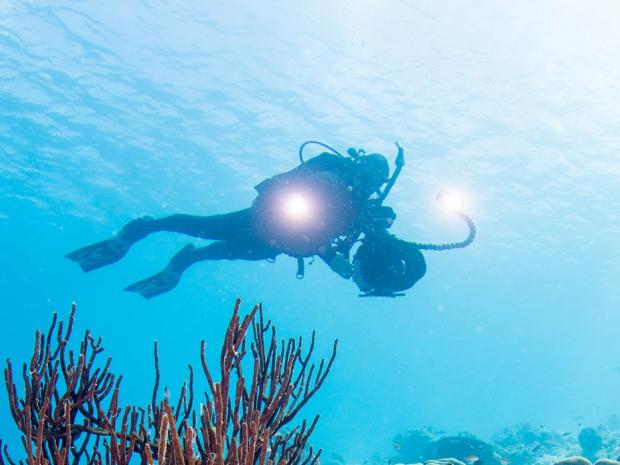 A couple of divers taking photographs in the ocean.