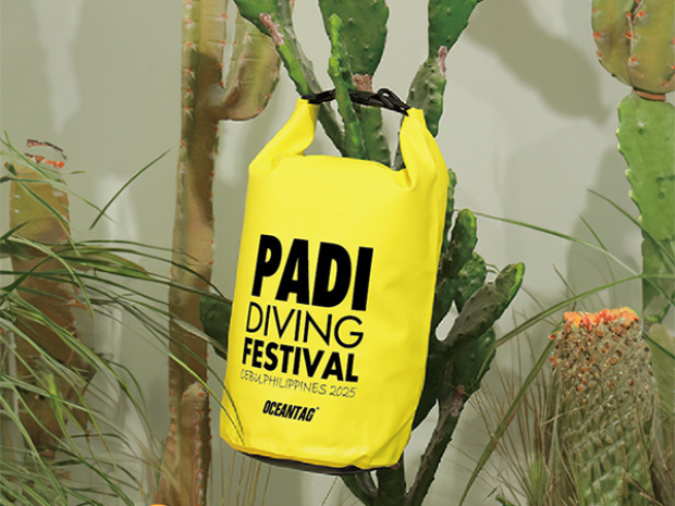 yellow water proof bag hanging on the tree