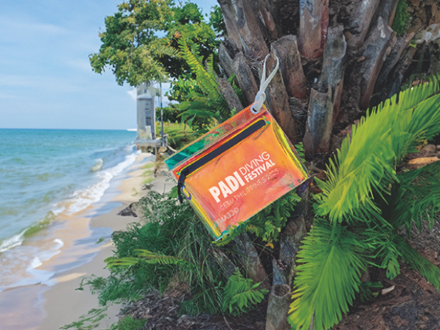 transparent porch with PADI logo hanging on the tree beside beach
