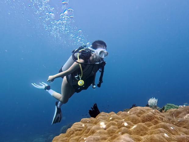 Alice for Junior PADI AmbassaDivers