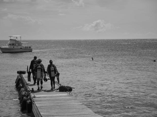 PADI Adventures App Image December