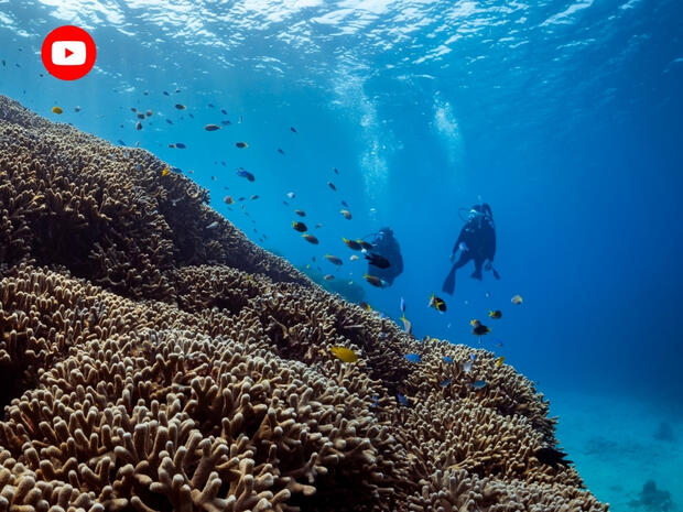 PADI youtube