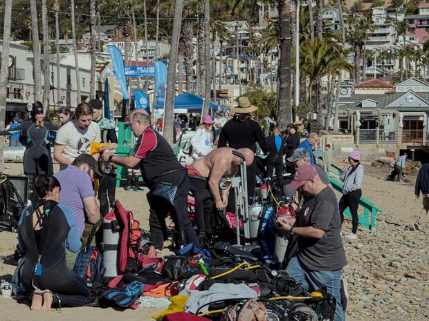 Divers preparing their gear on a busy beach at a PADI AWARE clean-up event