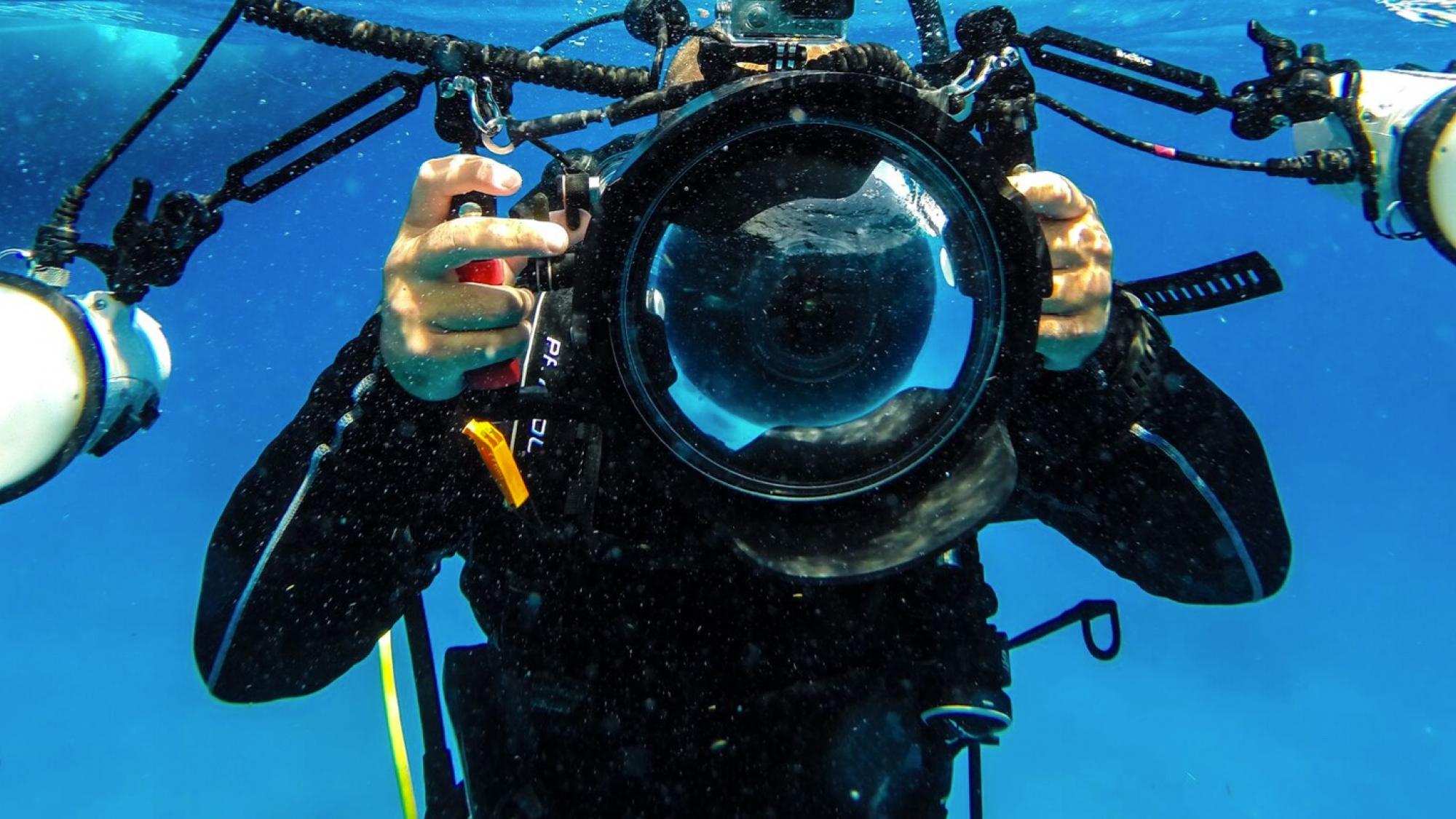ZYElroy Plongée sous-marine de lumière à double boule Bras articulé en alliage d'aluminium Photographie sous-marine Accessoires pour appareil photo 