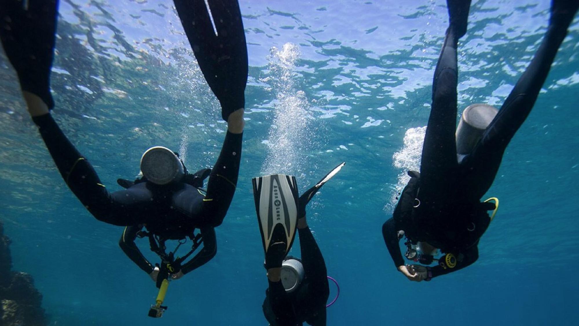 Kids Scuba Diving Fins Snorkel Swimming Training Flippers Water Sports Equipment 