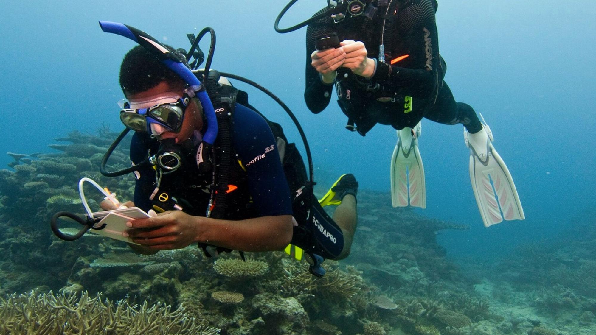 underwater diving write plate DS003 Unterwasser Schreibtafel zum Tauchen 
