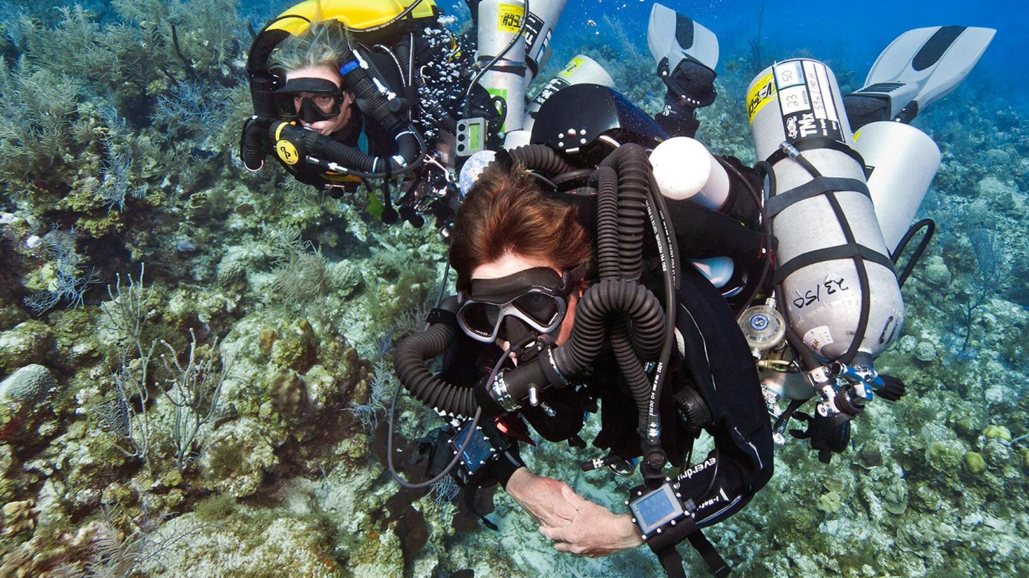 Tec 100 Ccr Diver, Dive Deeper With Hypoxic Trimix-Heliox