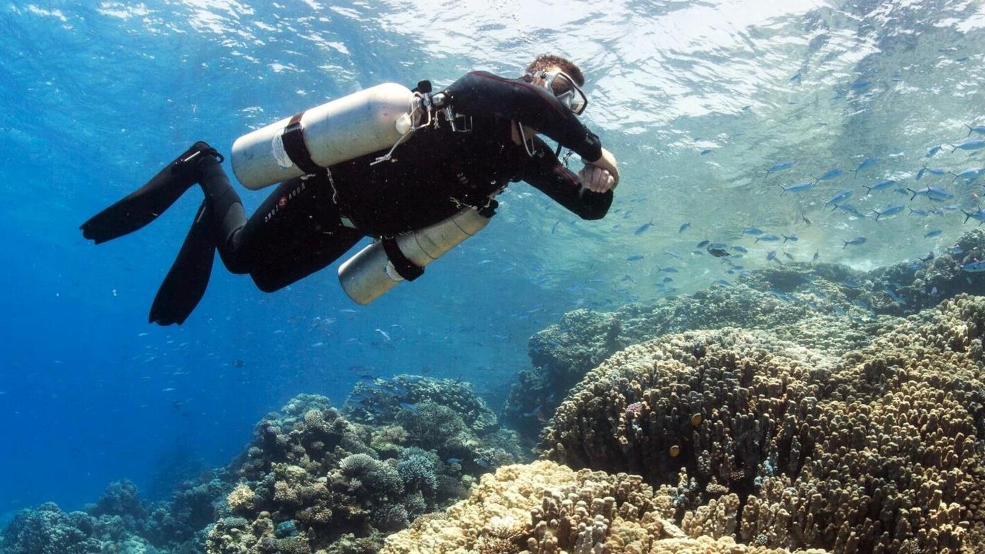 PADI 侧挂潜水装备