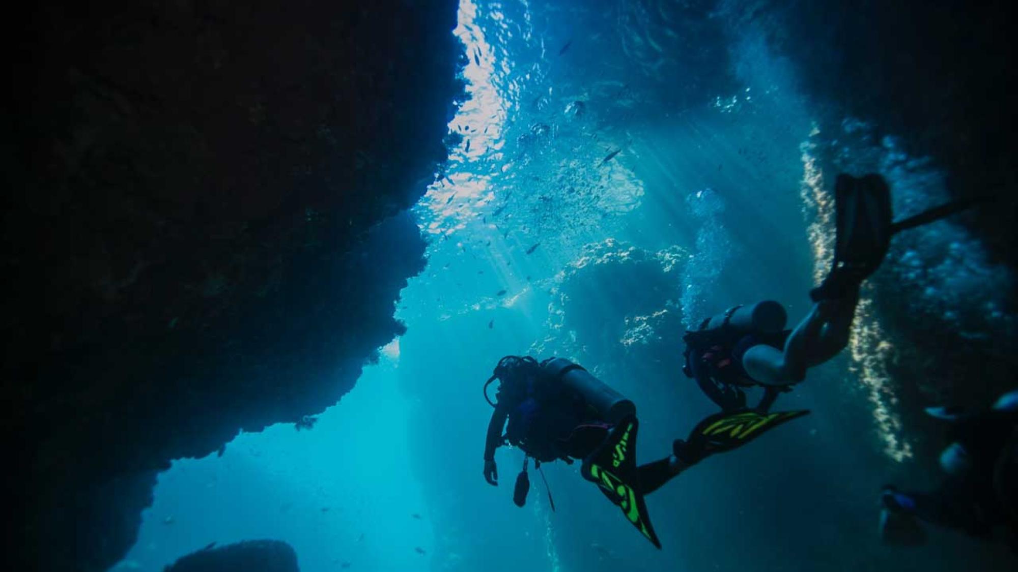 PADI Member Benefits