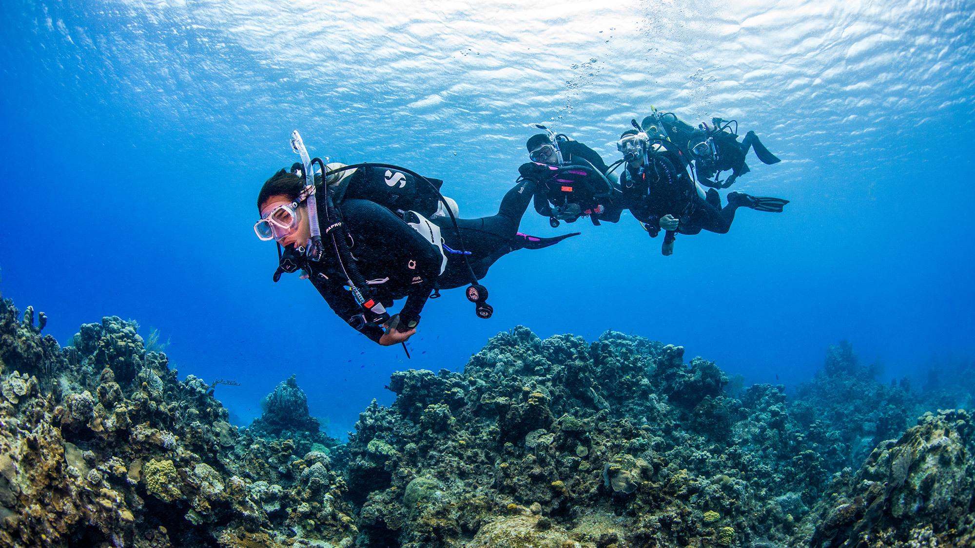 PADI Professional | PADI