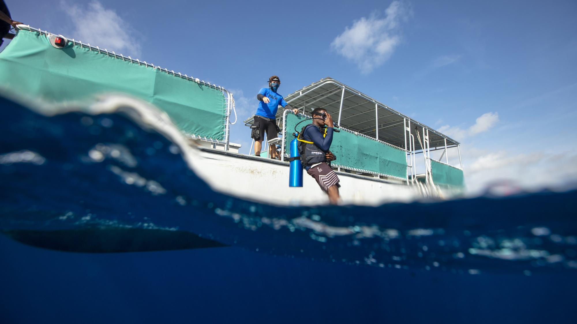 New Year New Adventure