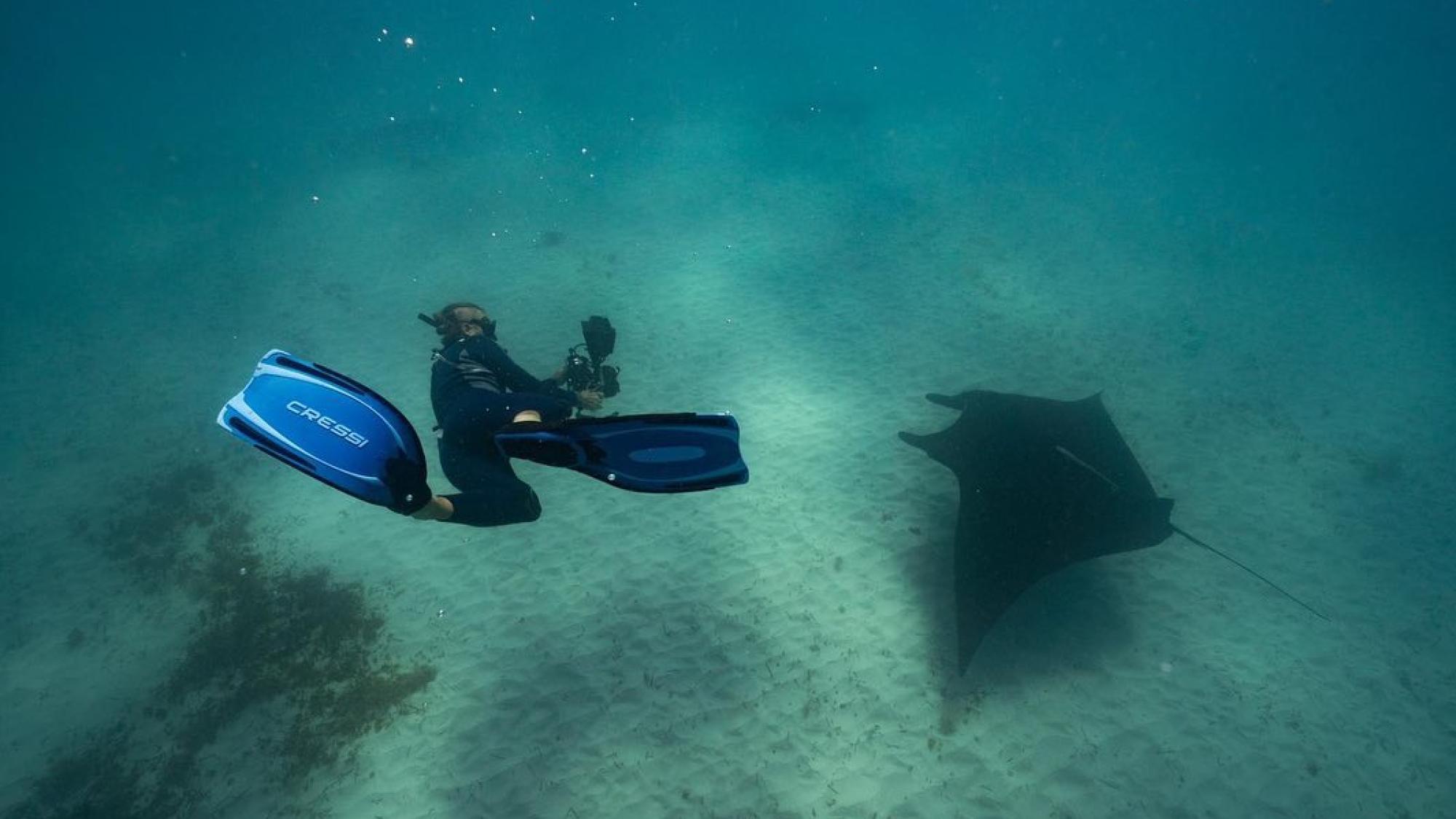 Nate Porter up close and personal with a manta ray