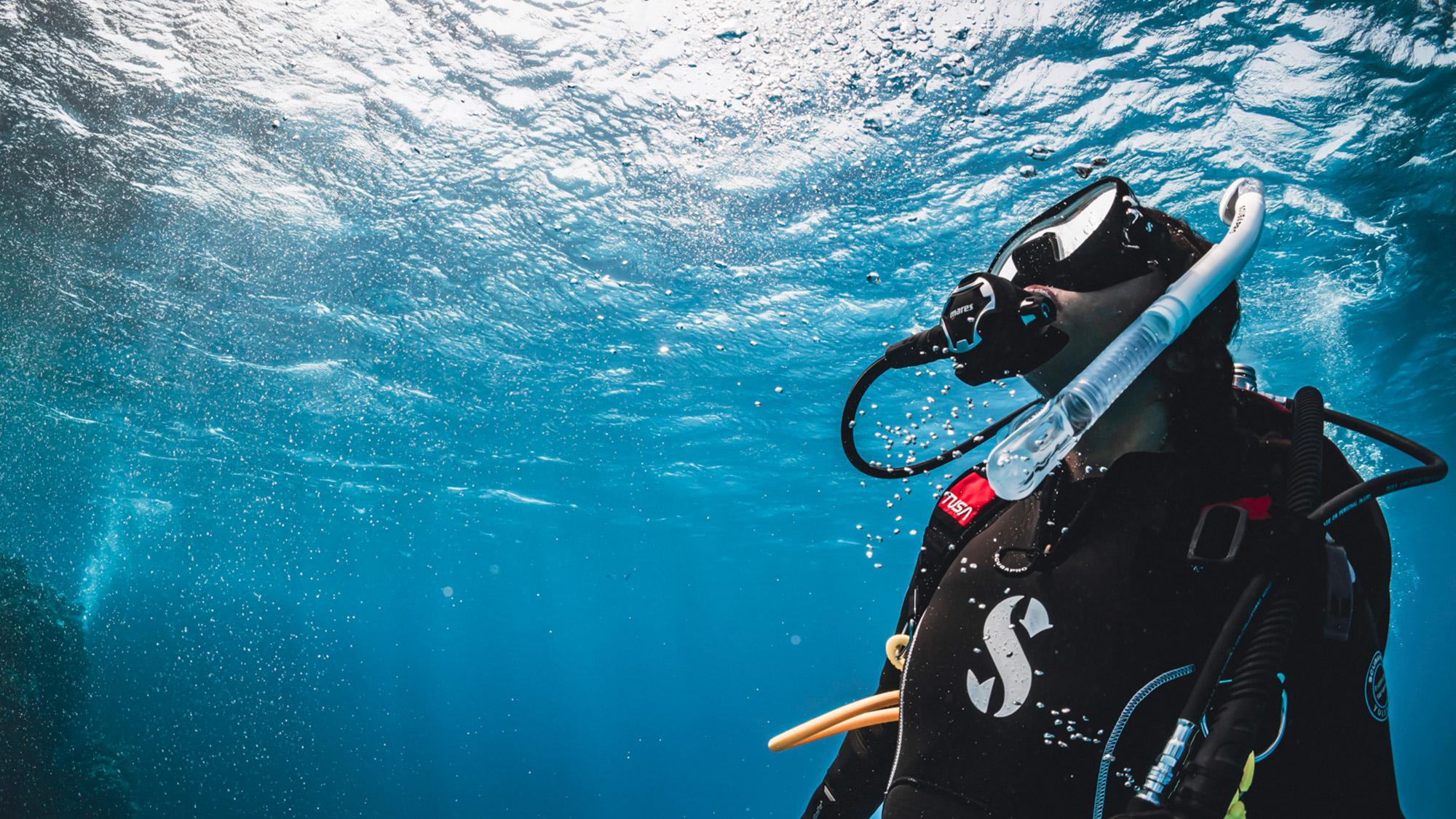 Scuba diver looking up beneath sea surface