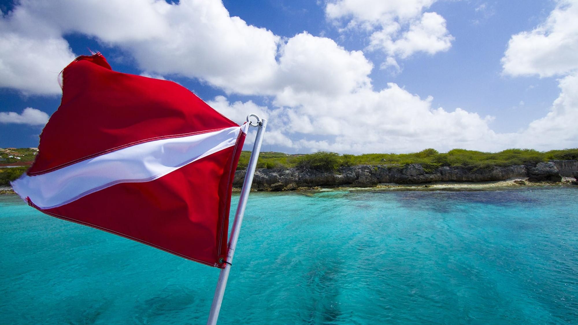 Winds waving a flag beside the ocean shore.