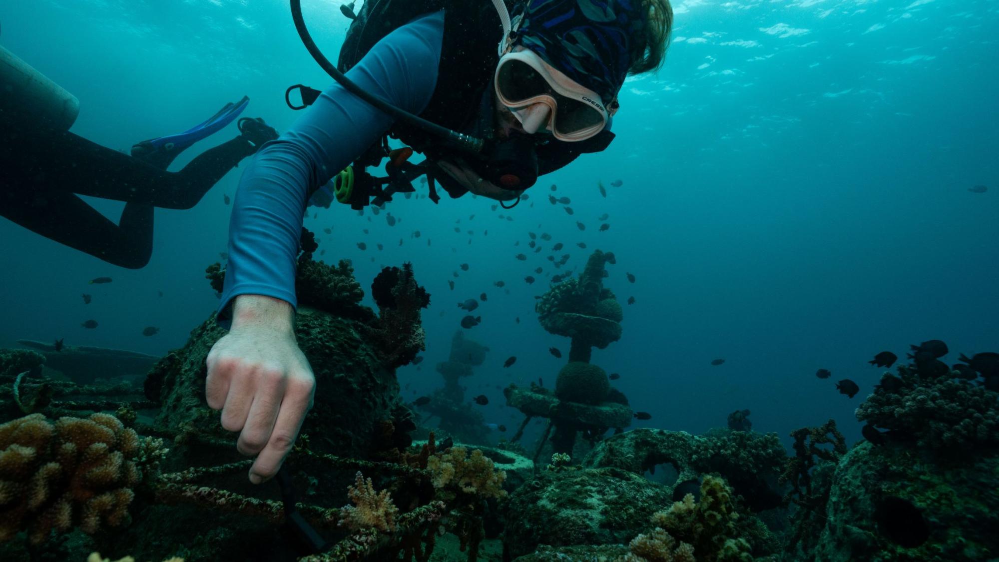 Institute for Marine Research FRAGS - IMR - Planting 1