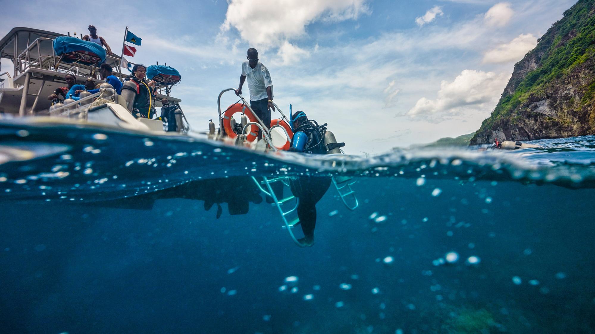 Image above and below water.
