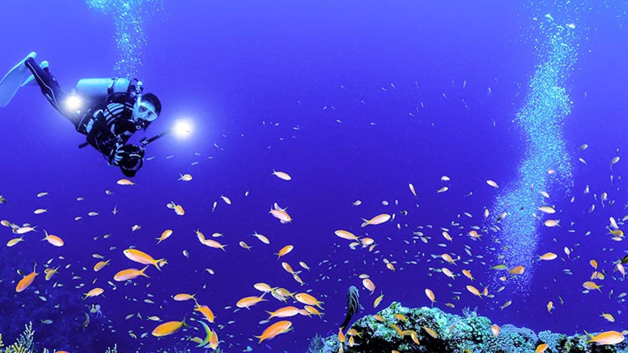 水中カメラを構えるダイバー