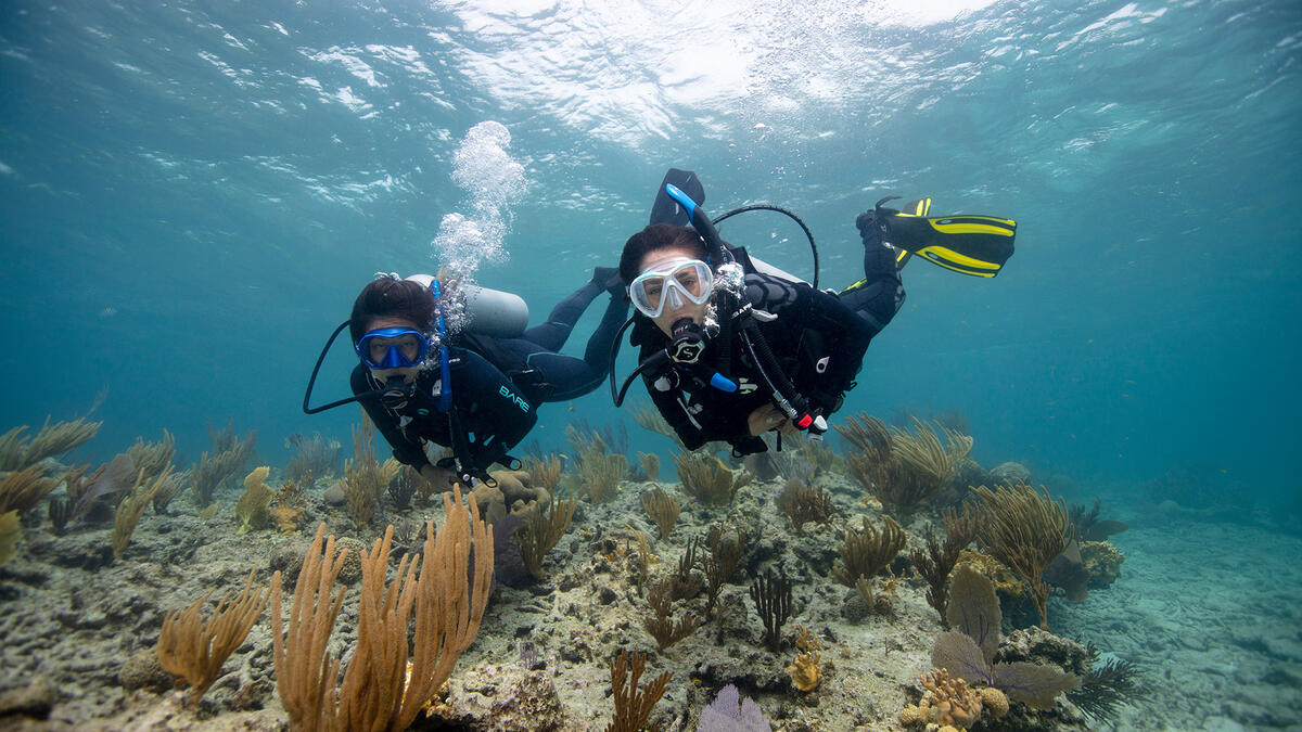 Womens Dive Day 2022